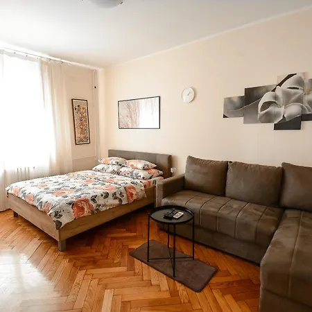 Petra 071 公寓 贝尔格莱德