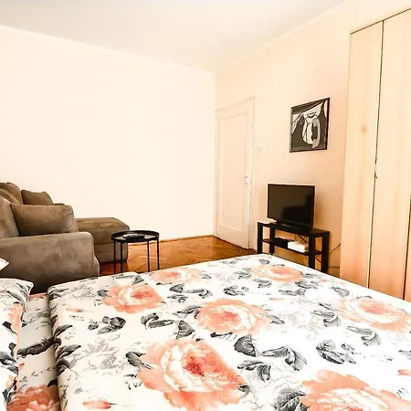 Petra 071 公寓 贝尔格莱德